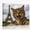 D, variant on XaaKee Canvas Wall Art Prints Bengal Cat Travel Concept Artwork Majestic Background Art Prints Inner Framed 18*12Inch