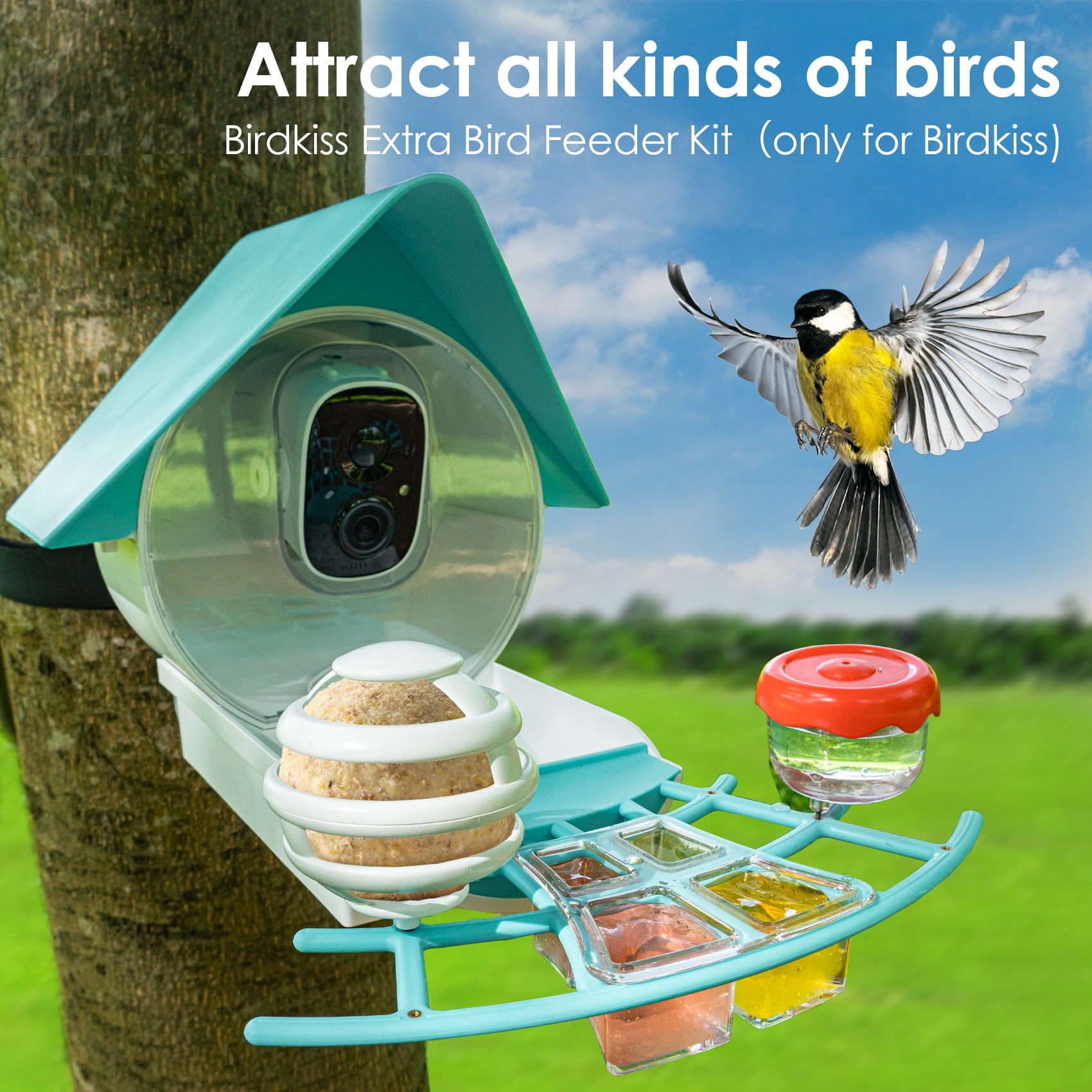 Birdkiss Bird Feeder Camera DIY Add-ons, Including Suet Ball, Mini Hummingbird Feeder, Fruit Holder, Jelly Feeder