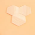 Axio 10PCS Wooden Plank Polygonal Wood Block Hexagon Profiled Solid
