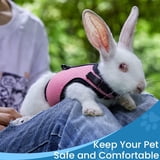 Bunny Rabbit Harness with Leash Cute Adjustable Buckle Breathable Mesh ...
