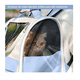 thumbnail image 3 of Mochila Back Pack Transportadora Gato, 3 of 4