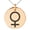 Rose, variant on Stainless Steel Solar System Planetary Venus Engraved Small Medallion Circle Charm Pendant Necklace