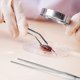 thumbnail image 2 of 3 pcs Stainless Steel Tweezers Serrated Tip Straight Tweezers Curved Tweezers, 2 of 3