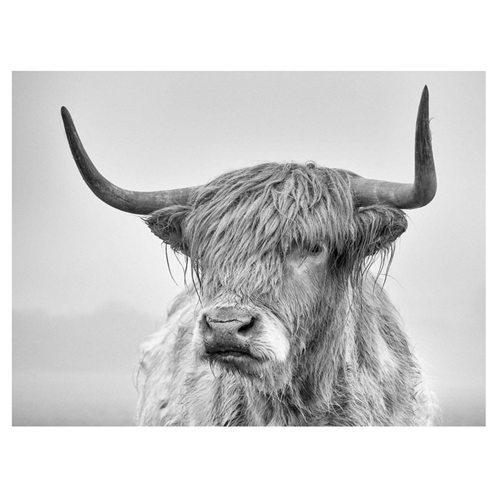 2021 Newest Framed Canvas Printed Art Print Watercolor Painting Wall