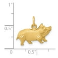 thumbnail image 3 of FB Jewels 14K Yellow Gold Pig Charm, 3 of 3