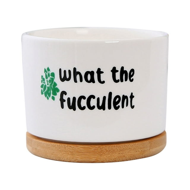 Funny Unique Succulent Pots Ceramic Fleshy Flowerpot Tray Indoor Desktop Bonsai Decoration Optional