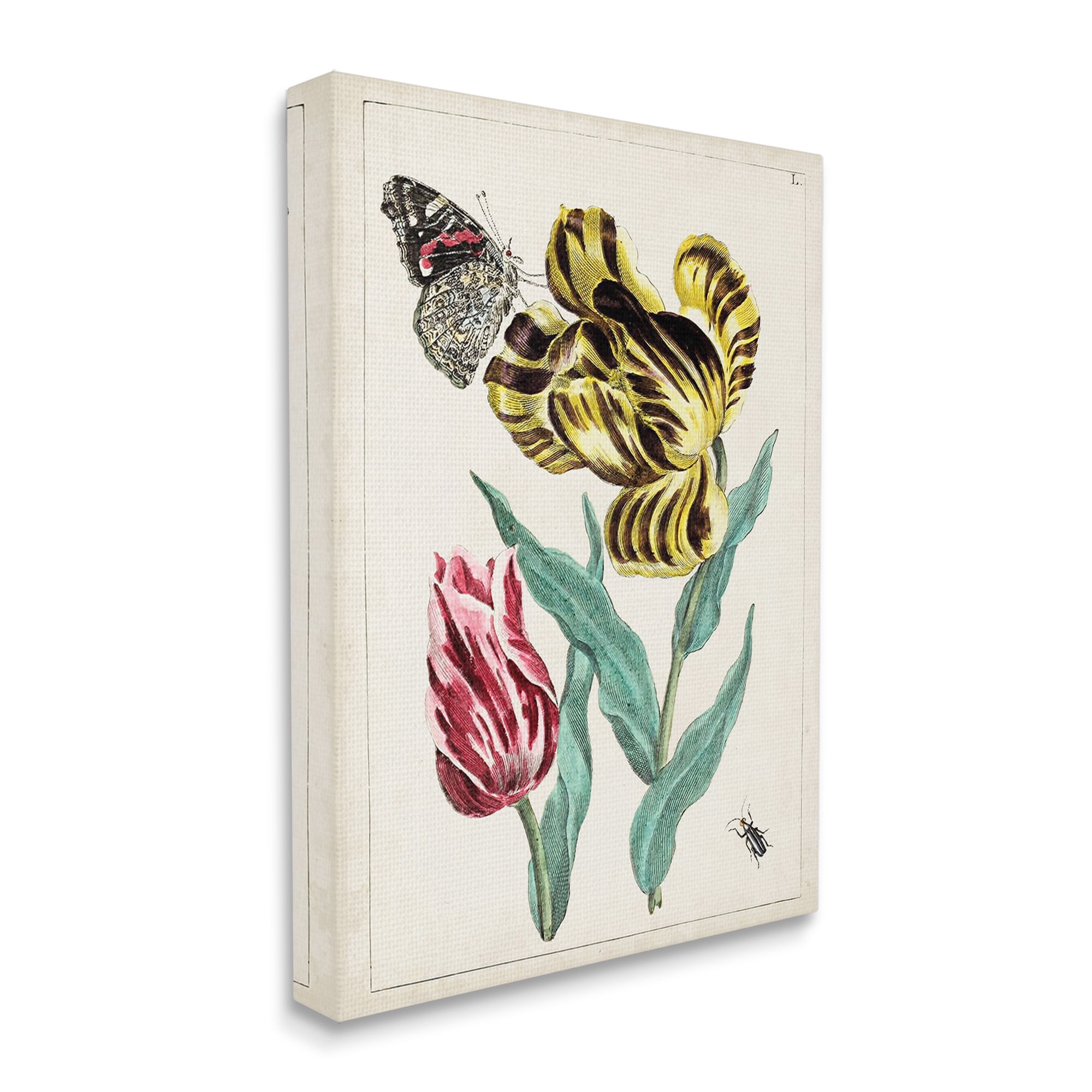 Stupell Industries Vintage Nature & Bugs Botanical & Floral Painting Gallery Wrapped Canvas Art Print Wall Art, 36 x 48