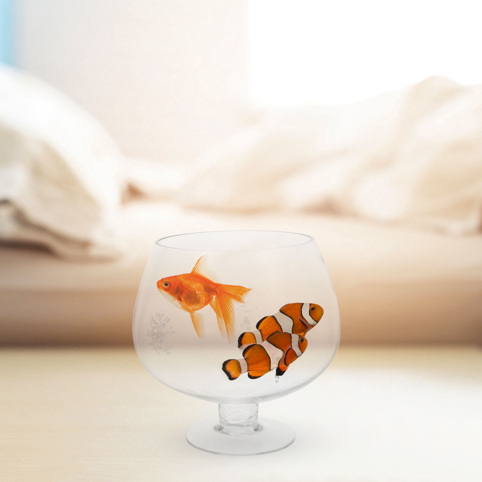 LEORX Clear Fish Tank Transparent Pet 1Set Office Supply