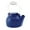 Blue, variant on Minuteman T-16-BL 2.5 Quart Cast Iron Humidifying Kettle - Blue
