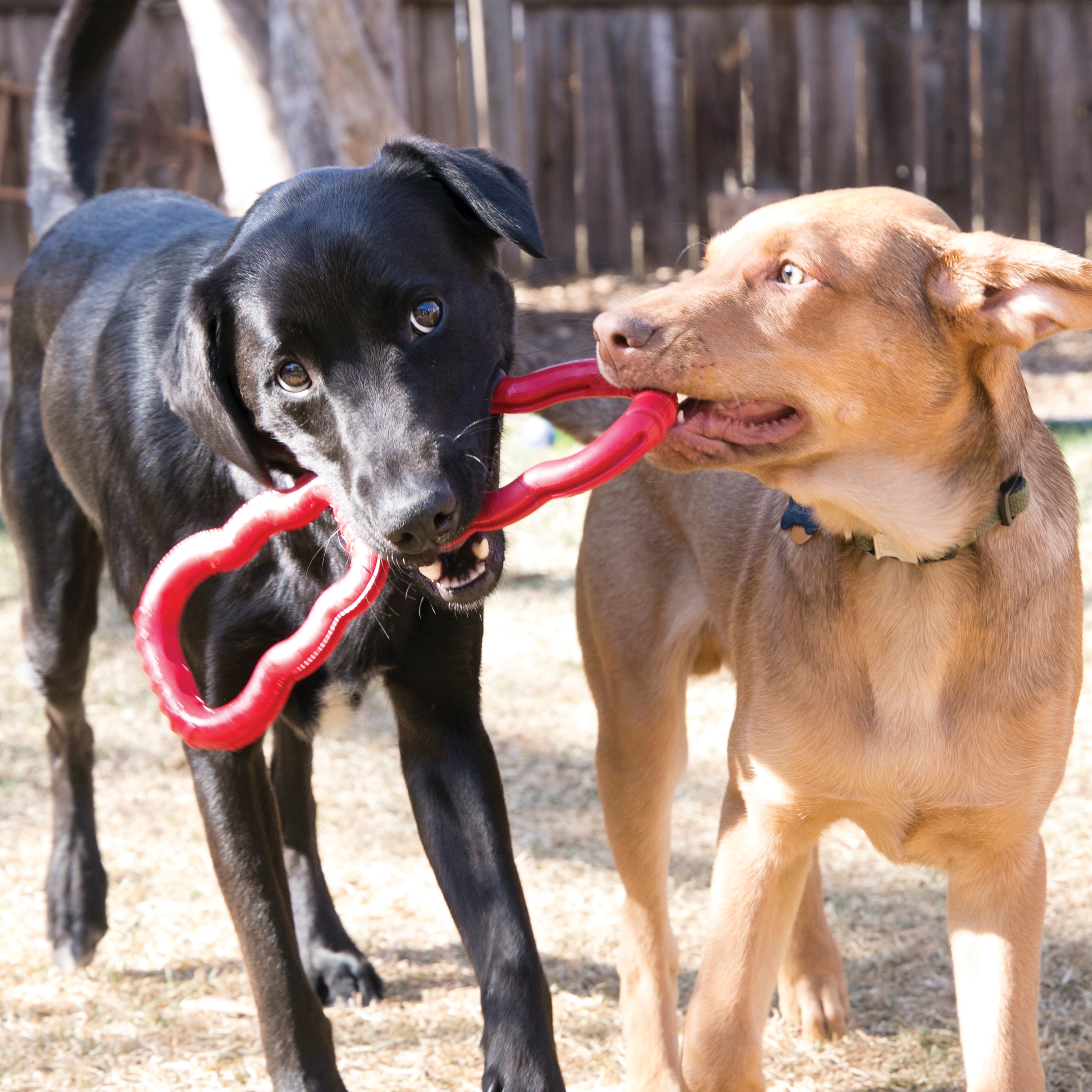 KONG® Tug Comfortable Grips Dog Toy, Red, Medium