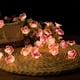 thumbnail image 5 of Luces de cadena de flores 20 LED Sakura Blossom Tira de alambre de cobre decorativa a batería de 7 pies | Interior Exterior Casa Patio Jardín Fiesta Dormitorio Decoración Navideña Rosa, 5 of 5