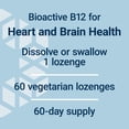 thumbnail image 6 of Life Extension Vitamin B12 Methylcobalamin, nerve health supplement, cognitive support, energy vitamin, methylcobalamin B12, 1 mg, quick-dissolving, vegetarian, 60 lozenges, 6 of 10
