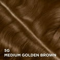thumbnail image 2 of L'Oréal Paris Magic Root Permanent Hair Dye, Permanent Root Touch Up, 2 of 6