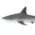 thumbnail image 7 of Safari Ltd. Gray Reef Shark Figurine - Detailed 6.25" Plastic Model Figure - Educational Sea Life Toy for Boys, Girls and Kids Ages 3+, 7 of 7