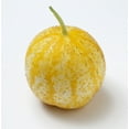 thumbnail image 2 of Lemon Cucumber Seeds, 2 of 5