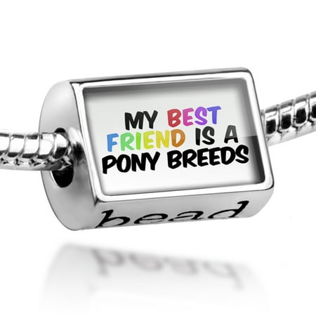 Bead My best Friend a Pony breeds, Horse Charm Fits All European (Best War Horse Breeds)