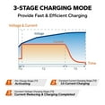 thumbnail image 6 of 14.6V 5A Smart Battery Charger for 12V Lithium Iron Phosphate (LiFePO4) Battery, 6 of 9