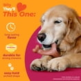 thumbnail image 4 of Nylabone Strong Chew Wishbone Dog Toy, Dog Chew Toy, Made with Real Bacon Flavor, Large, 1 Count, 4 of 10