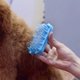 thumbnail image 5 of Cepillo de baño para perros y gatos, cepillo de aseo de mascotas de doble cara, peine para perros para masaje y eliminación de pelo muerto para perros y gatos de pelo corto o largo, azul, 5 of 5