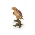 thumbnail image 5 of Wild Hawk standing on branch Garden Statue, 5 of 5