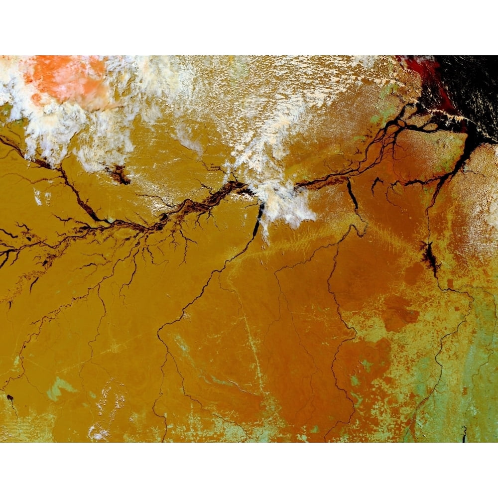 The Amazon Rainforest Poster Print (16 x 12) - Walmart.com - Walmart.com