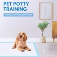 thumbnail image 7 of Dog Pee Pads 22"x23", Pee Pads for Dogs, Disposable Puppy Pads Pet Training Pads Super Absorbent Leak-Proof Quick Drying Pee Pads (30 Count), 7 of 7