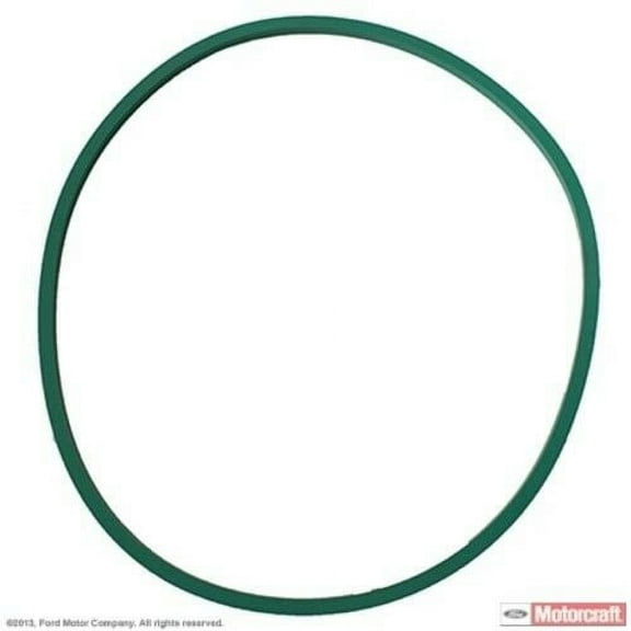 Motorcraft Fuel Pump Gasket CG-798 Fits select: 1998-2003 FORD RANGER