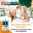 thumbnail image 4 of DoggyRade & YummyRade Bundle/Dogs 6 Weeks and Older/Prebiotics Gravy Topper/Digestion & Immune Support/Low-Calorie & Fat, 4 of 15