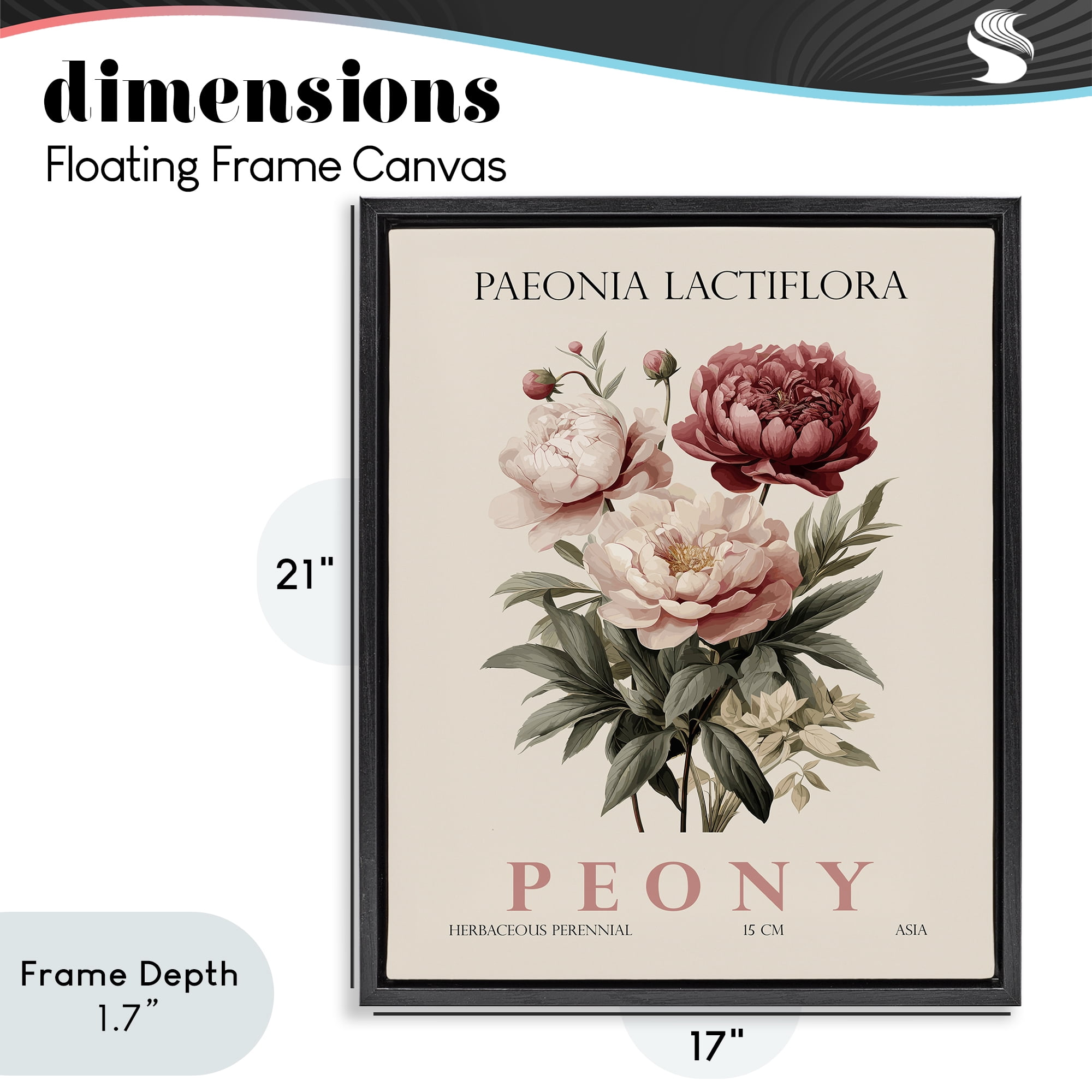 Stupell Industries Natural Peony Bundle Black Framed Floater Canvas Wall Art, design by Christopher Giampietro
