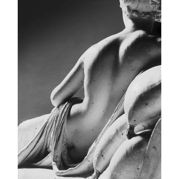 Canova: In Four Tempos (Hardcover)