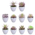 thumbnail image 1 of 10 Uds. Cabezas de flores suculentas de simulación DIY suministros creativos decoración interior plantas artificiales, 1 of 5