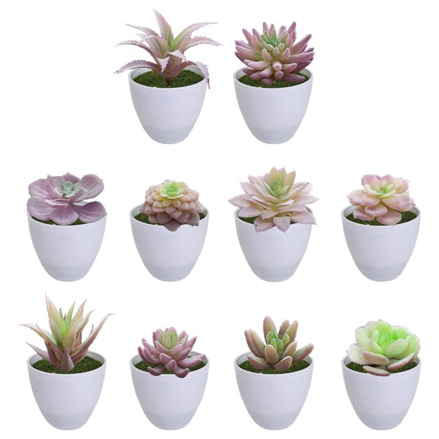 10 Uds. Cabezas de flores suculentas de simulación DIY suministros creativos decoración interior plantas artificiales