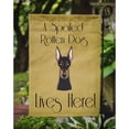 thumbnail image 3 of Carolines Treasures BB1493GF Doberman Spoiled Dog Lives Here Flag Garden Size, 3 of 3