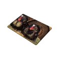 thumbnail image 2 of CADecor Turkey Doormat Indoor Outdoor Floor Rug 30x18 inches, 2 of 2
