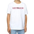 thumbnail image 3 of Harry Potter Boys Gryffindor Text T-Shirt, 3 of 5