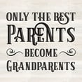 thumbnail image 2 of Reed, Tara 26x26 Black Ornate Wood Framed with Double Matting Museum Art Print Titled - Grandparent Life IX-Only the Best, 2 of 4