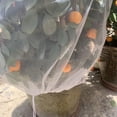 thumbnail image 3 of 2uds. Funda Protectora de Jardín Antipájaros con Cordón para Frutas y Verduras (230cm), 3 of 5