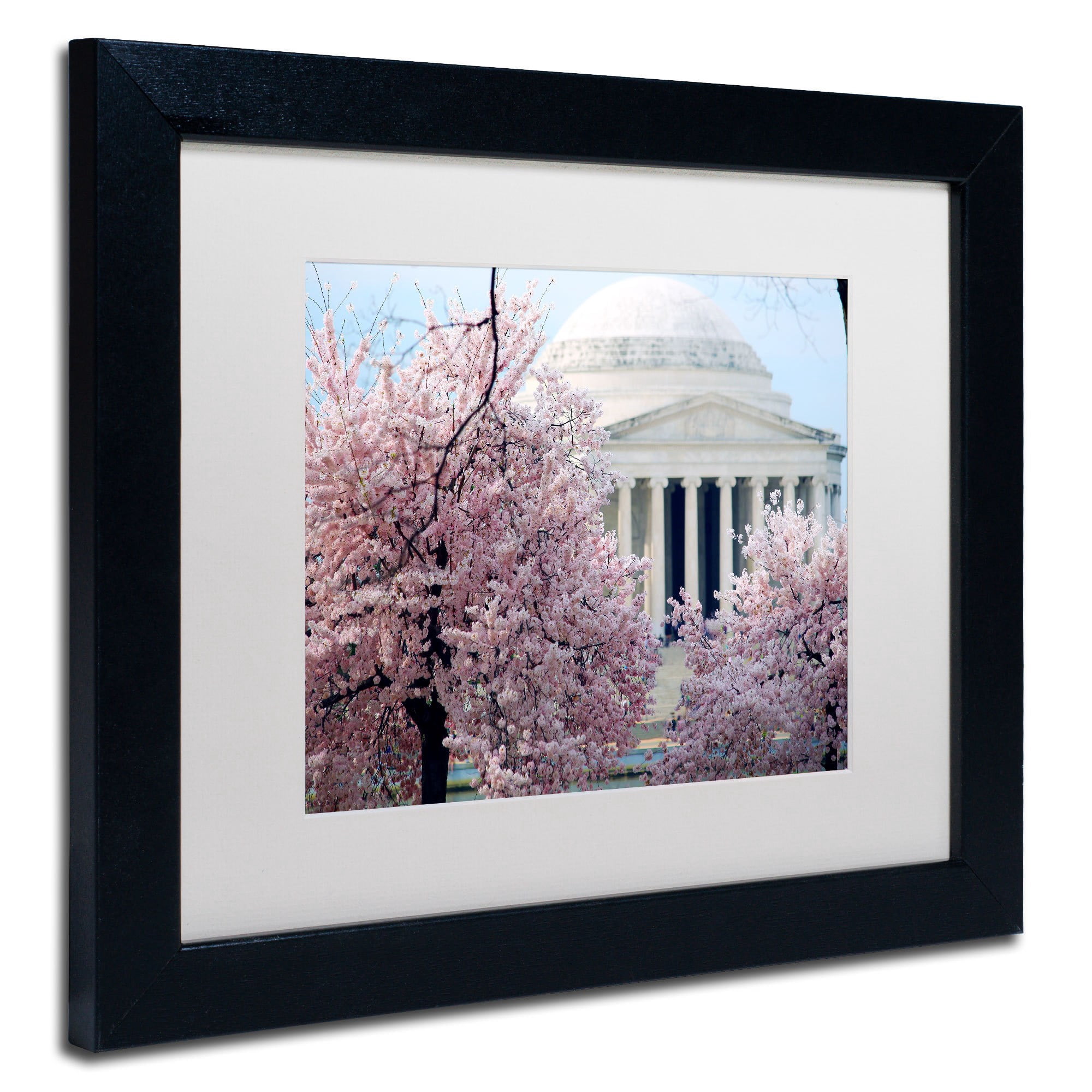 Trademark Fine Art "Cherry Blossoms 2014-7" Canvas Art by CATeyes, White Matte, Black Frame