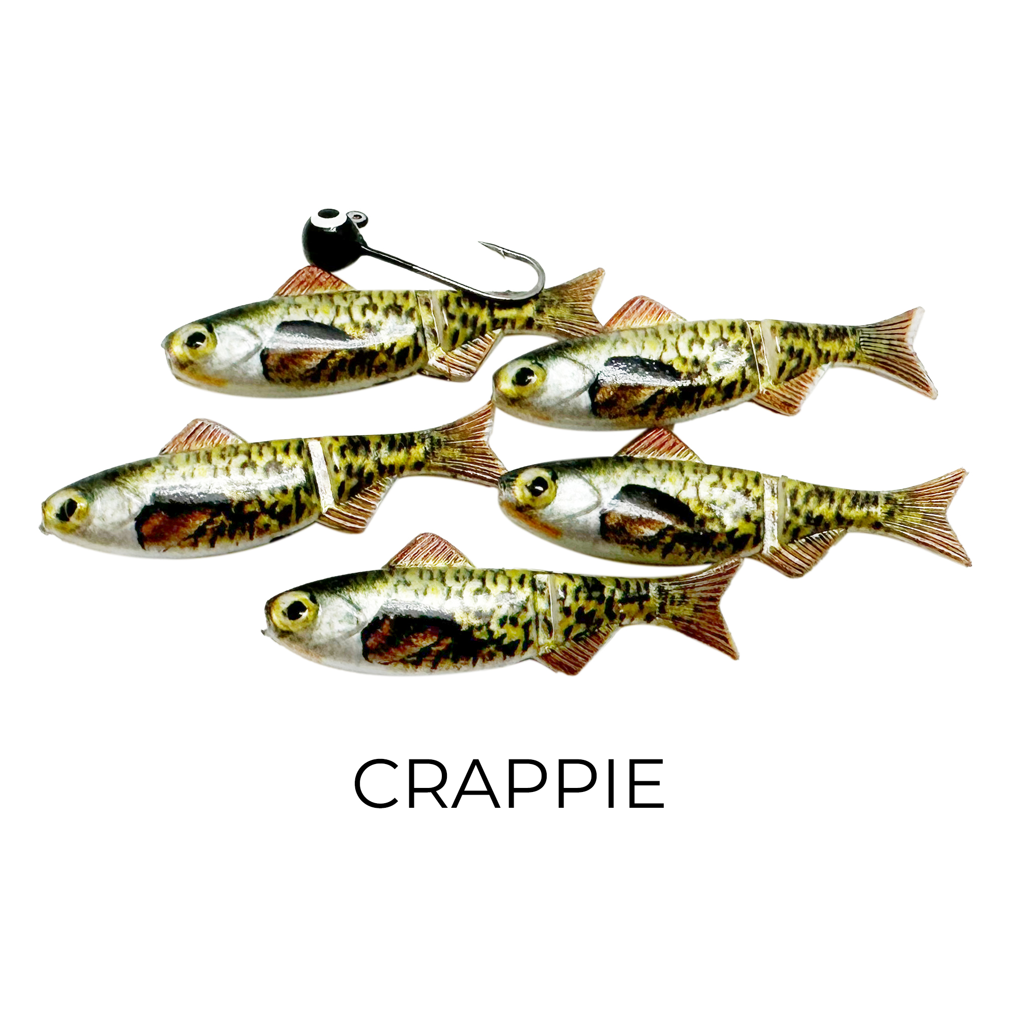 Reno Bait Company Keystone Jig Minnow Kit 1/16 oz with 8 Patterns, 40-Piece