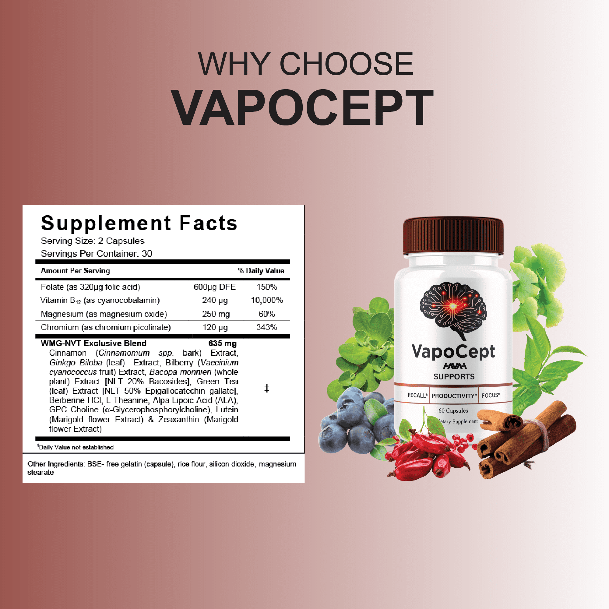 (5 Pack) Vapocept Premium Brain Supplement, Vapo Cept Support (300 Capsules)
