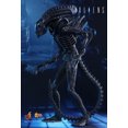 thumbnail image 4 of Figure Hot Toys MMS354 - Aliens - Alien Warrior, 4 of 5