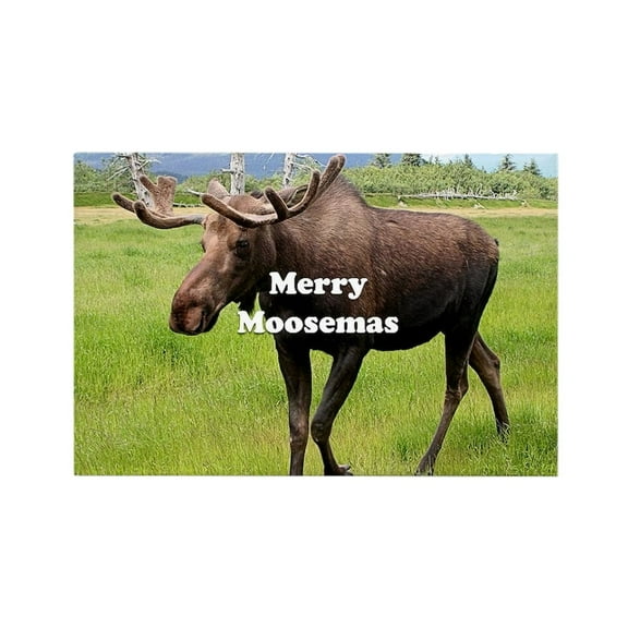 CafePress - Merry Moosemas, Alaskan Moose Magnets - Rectangle Magnet, 2"x3" Refrigerator Magnet