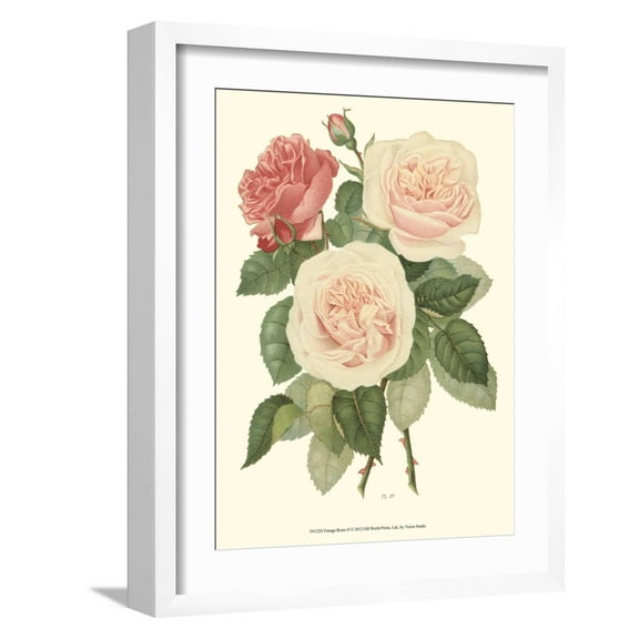 Art.com Vintage Roses II Art Print by Vision Studio, White Frame Wall Art, 17" x 21"