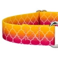 thumbnail image 5 of Country Brook Petz® Fabulous Ombre Martingale Dog Collar Limited Edition, Medium, 5 of 5