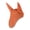 Coral Gold(CGO), variant on Horze Adepto Ear Net