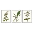 thumbnail image 3 of Stupell Industries Minimal Blue Botanical Study Over Neutral Beige Design by Curtis, 3 Piece, 11" x 14", Gray Framed, 3 of 5