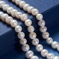 thumbnail image 6 of 6 strand Natural Cultured Freshwater Pearl Beads Strands Round Antique White 7~8x6~7mm Hole: 0.6mm 25pcs/strand 7.68 inch(19.5cm), 6 of 6