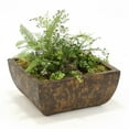 thumbnail image 1 of Distinctive Designs International  2080 Faux Ferns And Succulents In Deep Chocolate Crackle Square Stone Tray, 1 of 1