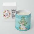 thumbnail image 2 of Carolines Treasures CK4802CDL 3.75 x 3.25 in. Unisex Sphynx No.3 Cat Merry Christmas 10 oz Decorative Soy Candle, 2 of 5