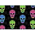 thumbnail image 2 of Villa, Mlli 24x18 White Modern Wood Framed Museum Art Print Titled - Bright Skulls Reverse, 2 of 4